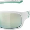 Alpina Sonnenbrille Lyron S Rahmen White Pistachio Glas Emerald Mirror 1 Alpina Sonnenbrille Lyron S Rahmen White Pistachio Glas Emerald Mirror -Fahrradhelme Verkäufe 2022 ID 135789 orig 600x600