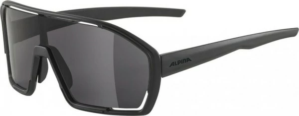 Alpina Sonnenbrille Bonfire Rahmen Schwarz Matt Glas Schwarz Kat.3 3 Alpina Sonnenbrille Bonfire Rahmen Schwarz Matt Glas Schwarz Kat.3